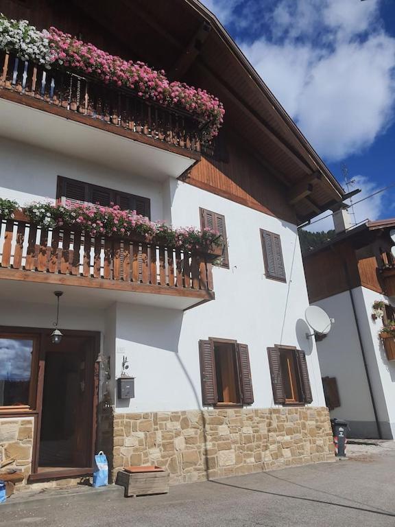 Casa Phoenix Appartamento Piano Terra Immerso Nel Verde A Pochi Minuti Dalla Ciclabile Pieve di Cadore Εξωτερικό φωτογραφία