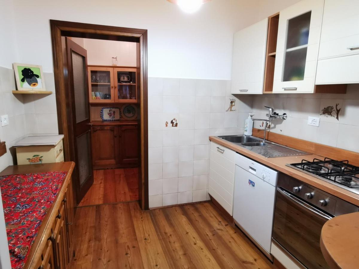 Casa Phoenix Appartamento Piano Terra Immerso Nel Verde A Pochi Minuti Dalla Ciclabile Pieve di Cadore Εξωτερικό φωτογραφία